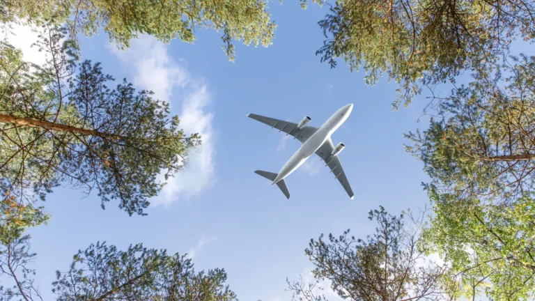Eco-Friendly Freight: Air vs Sea Carbon Cost