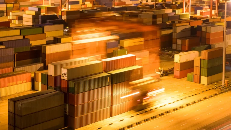 How to Handle Export Customs Delays & Holds