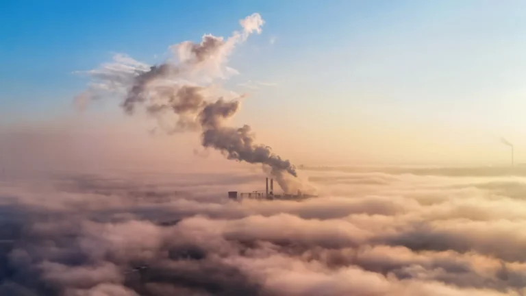 Scope 3 Emissions: What Exporters Must Report